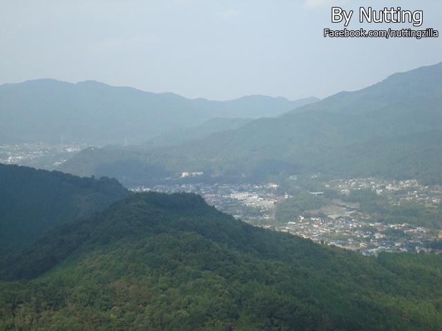 DSC03957.JPG